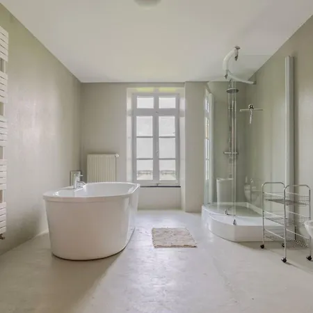 Château De La Combe Villa La Celle (Auvergne)